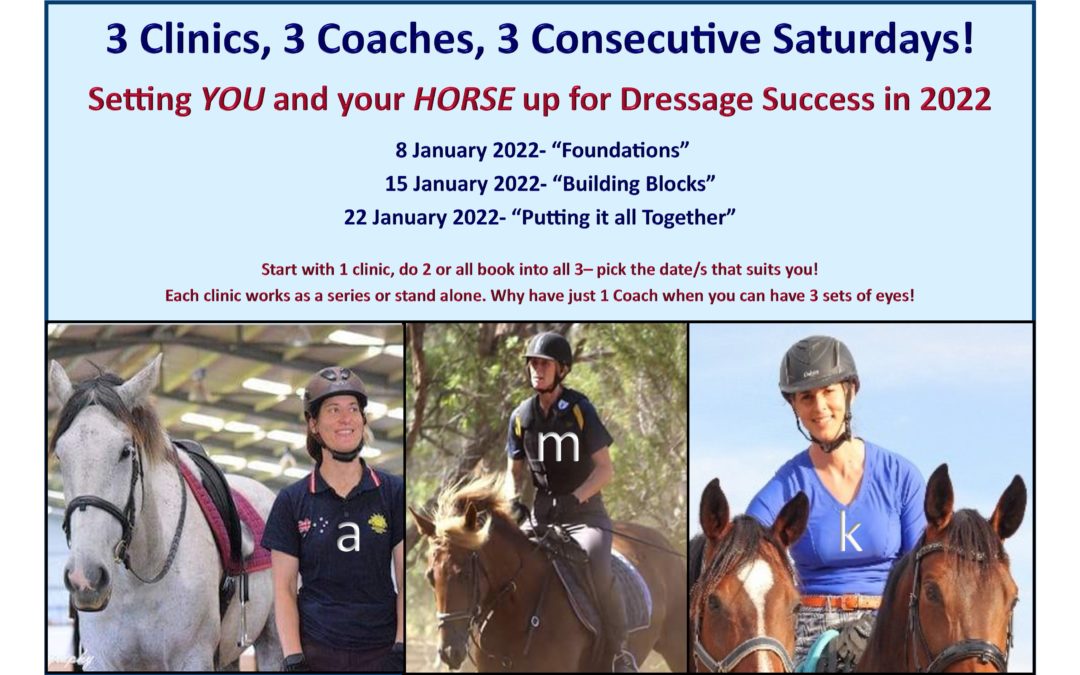 3 Clinics, 3 Coaches, 3 Consecutive Saturdays – Setting you and your horse up for Dressage success in 2022!