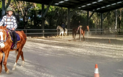 Equestrian Australia Statement on ‘Ready Set Trot’ & ‘Ride A Horse’ accredited programs at Yara Balba Stables